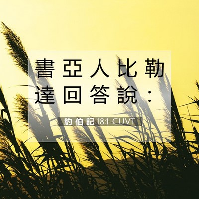 Picture 07 - 約 伯 記 18:1 CUVT - 書 亞 人 比 勒 達 回 答 說 - Bible Verse Picture