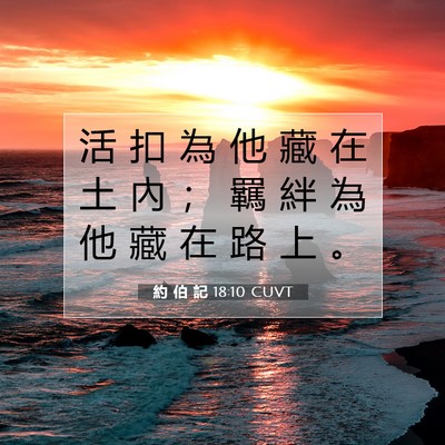 Picture 07 - 約 伯 記 18:10 CUVT - 活 扣 為 他 藏 在 土 內 ； 羈 絆 為 - Bible Verse Picture