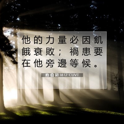 Picture 07 - 約 伯 記 18:12 CUVT - 他 的 力 量 必 因 飢 餓 衰 敗 ； 禍 - Bible Verse Picture