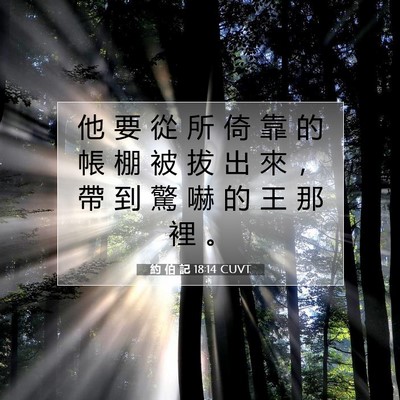 Picture 07 - 約 伯 記 18:14 CUVT - 他 要 從 所 倚 靠 的 帳 棚 被 拔 出 - Bible Verse Picture