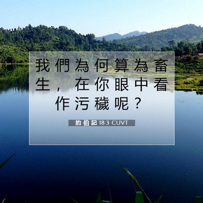Picture 07 - 約 伯 記 18:3 CUVT - 我 們 為 何 算 為 畜 生 ， 在 你 眼 - Bible Verse Picture