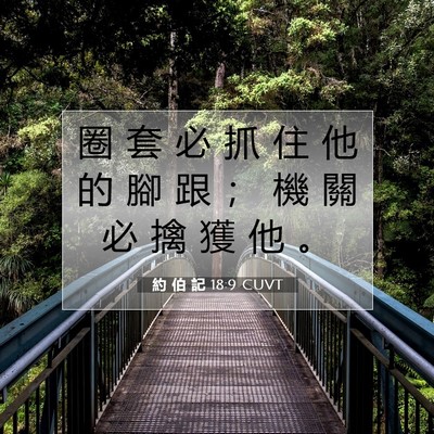 Picture 07 - 約 伯 記 18:9 CUVT - 圈 套 必 抓 住 他 的 腳 跟 ； 機 關 - Bible Verse Picture