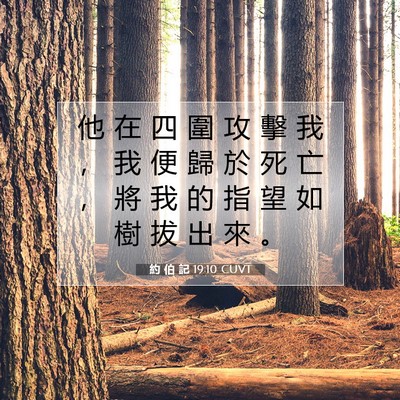 Picture 07 - 約 伯 記 19:10 CUVT - 他 在 四 圍 攻 擊 我 ， 我 便 歸 於 - Bible Verse Picture