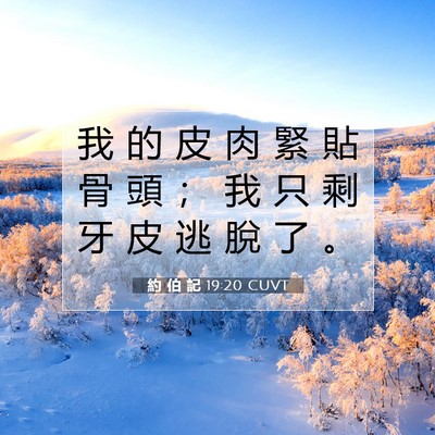 Picture 07 - 約 伯 記 19:20 CUVT - 我 的 皮 肉 緊 貼 骨 頭 ； 我 只 剩 - Bible Verse Picture