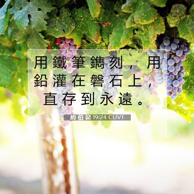 Picture 07 - 約 伯 記 19:24 CUVT - 用 鐵 筆 鐫 刻 ， 用 鉛 灌 在 磐 石 - Bible Verse Picture