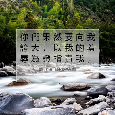 Picture 07 - 約 伯 記 19:5 CUVT - 你 們 果 然 要 向 我 誇 大 ， 以 我 - Bible Verse Picture