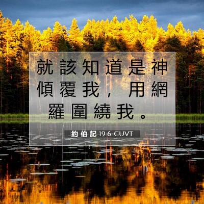 Picture 07 - 約 伯 記 19:6 CUVT - 就 該 知 道 是 神 傾 覆 我 ， 用 網 - Bible Verse Picture