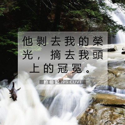Picture 07 - 約 伯 記 19:9 CUVT - 他 剝 去 我 的 榮 光 ， 摘 去 我 頭 - Bible Verse Picture