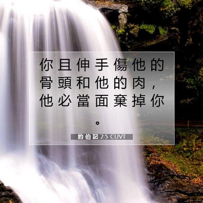 Picture 07 - 約 伯 記 2:5 CUVT - 你 且 伸 手 傷 他 的 骨 頭 和 他 的 - Bible Verse Picture