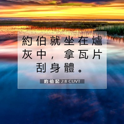 Picture 07 - 約 伯 記 2:8 CUVT - 約 伯 就 坐 在 爐 灰 中 ， 拿 瓦 片 - Bible Verse Picture