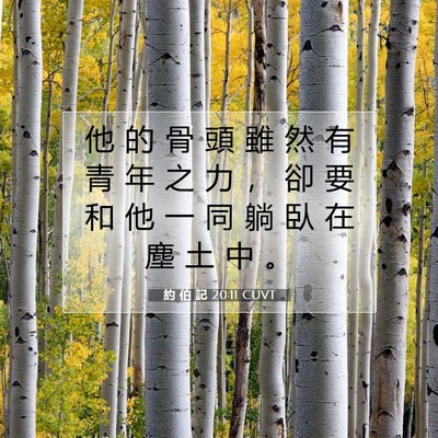 Picture 07 - 約 伯 記 20:11 CUVT - 他 的 骨 頭 雖 然 有 青 年 之 力 ， - Bible Verse Picture