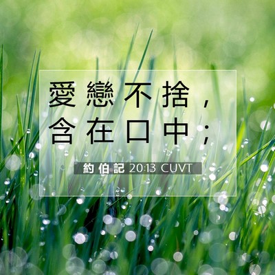 Picture 07 - 約 伯 記 20:13 CUVT - 愛 戀 不 捨 ， 含 在 口 中 - Bible Verse Picture