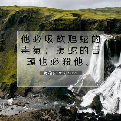 Picture 07 - 約 伯 記 20:16 CUVT - 他 必 吸 飲 虺 蛇 的 毒 氣 ； 蝮 蛇 - Bible Verse Picture