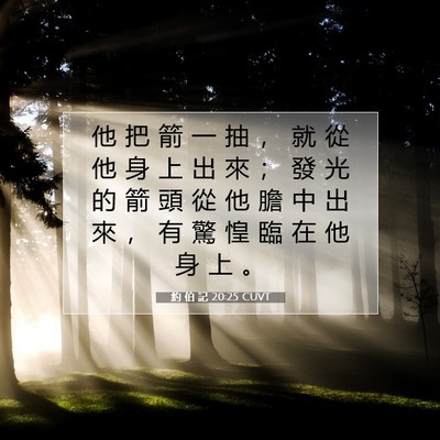 Picture 07 - 約 伯 記 20:25 CUVT - 他 把 箭 一 抽 ， 就 從 他 身 上 出 - Bible Verse Picture