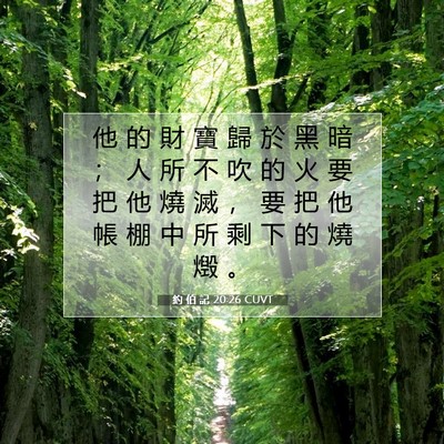 Picture 07 - 約 伯 記 20:26 CUVT - 他 的 財 寶 歸 於 黑 暗 ； 人 所 不 - Bible Verse Picture