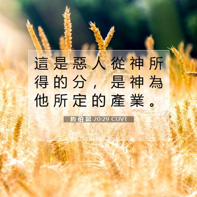 Picture 07 - 約 伯 記 20:29 CUVT - 這 是 惡 人 從 神 所 得 的 分 ， 是 - Bible Verse Picture