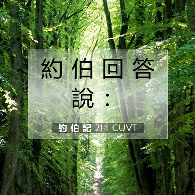 Picture 07 - 約 伯 記 21:1 CUVT - 約 伯 回 答 說 - Bible Verse Picture