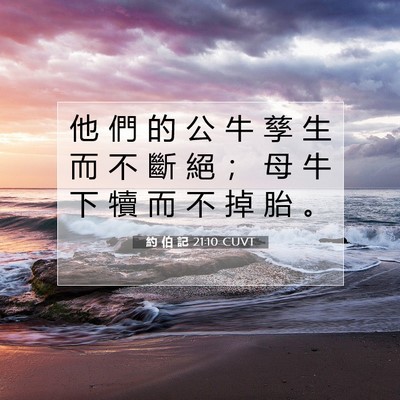 Picture 07 - 約 伯 記 21:10 CUVT - 他 們 的 公 牛 孳 生 而 不 斷 絕 ； - Bible Verse Picture