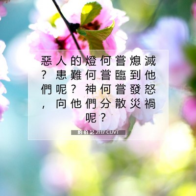 Picture 07 - 約 伯 記 21:17 CUVT - 惡 人 的 燈 何 嘗 熄 滅 ？ 患 難 何 - Bible Verse Picture