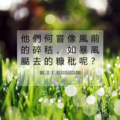 Picture 07 - 約 伯 記 21:18 CUVT - 他 們 何 嘗 像 風 前 的 碎 秸 ， 如 - Bible Verse Picture