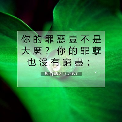 Picture 07 - 約 伯 記 22:5 CUVT - 你 的 罪 惡 豈 不 是 大 麼 ？ 你 的 - Bible Verse Picture