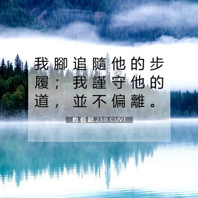 Picture 07 - 約 伯 記 23:11 CUVT - 我 腳 追 隨 他 的 步 履 ； 我 謹 守 - Bible Verse Picture