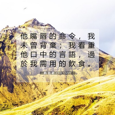 Picture 07 - 約 伯 記 23:12 CUVT - 他 嘴 唇 的 命 令 ， 我 未 曾 背 棄 - Bible Verse Picture