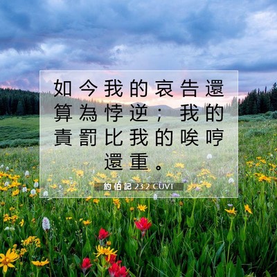 Picture 07 - 約 伯 記 23:2 CUVT - 如 今 我 的 哀 告 還 算 為 悖 逆 ； - Bible Verse Picture