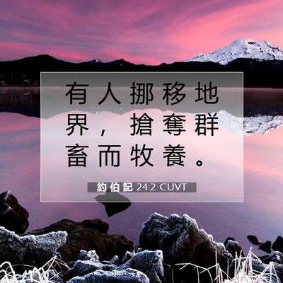 Picture 07 - 約 伯 記 24:2 CUVT - 有 人 挪 移 地 界 ， 搶 奪 群 畜 而 - Bible Verse Picture