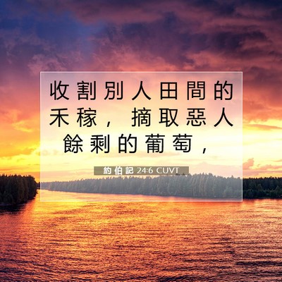 Picture 07 - 約 伯 記 24:6 CUVT - 收 割 別 人 田 間 的 禾 稼 ， 摘 取 - Bible Verse Picture