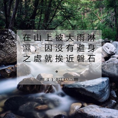 Picture 07 - 約 伯 記 24:8 CUVT - 在 山 上 被 大 雨 淋 濕 ， 因 沒 有 - Bible Verse Picture
