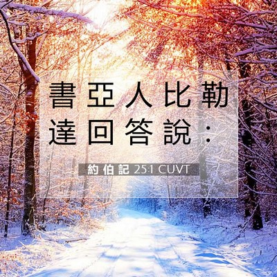 Picture 07 - 約 伯 記 25:1 CUVT - 書 亞 人 比 勒 達 回 答 說 - Bible Verse Picture