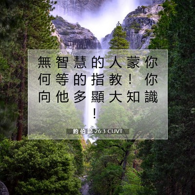 Picture 07 - 約 伯 記 26:3 CUVT - 無 智 慧 的 人 蒙 你 何 等 的 指 教 - Bible Verse Picture