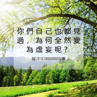 Picture 07 - 約 伯 記 27:12 CUVT - 你 們 自 己 也 都 見 過 ， 為 何 全 - Bible Verse Picture