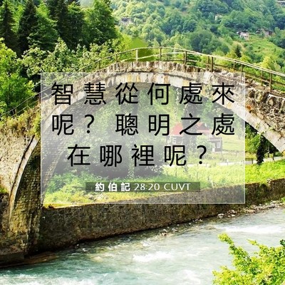 Picture 07 - 約 伯 記 28:20 CUVT - 智 慧 從 何 處 來 呢 ？ 聰 明 之 處 - Bible Verse Picture