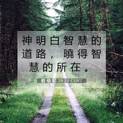 Picture 07 - 約 伯 記 28:23 CUVT - 神 明 白 智 慧 的 道 路 ， 曉 得 智 - Bible Verse Picture