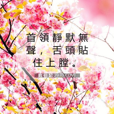 Picture 07 - 約 伯 記 29:10 CUVT - 首 領 靜 默 無 聲 ， 舌 頭 貼 住 上 - Bible Verse Picture