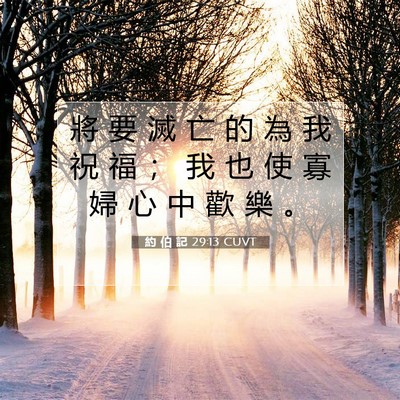 Picture 07 - 約 伯 記 29:13 CUVT - 將 要 滅 亡 的 為 我 祝 福 ； 我 也 - Bible Verse Picture