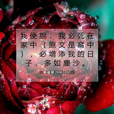 Picture 07 - 約 伯 記 29:18 CUVT - 我 便 說 ： 我 必 死 在 家 中 （ 原 - Bible Verse Picture