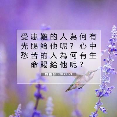 Picture 07 - 約 伯 記 3:20 CUVT - 受 患 難 的 人 為 何 有 光 賜 給 他 - Bible Verse Picture