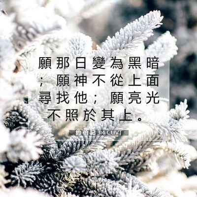 Picture 07 - 約 伯 記 3:4 CUVT - 願 那 日 變 為 黑 暗 ； 願 神 不 從 - Bible Verse Picture