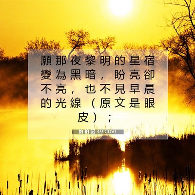 Picture 07 - 約 伯 記 3:9 CUVT - 願 那 夜 黎 明 的 星 宿 變 為 黑 暗 - Bible Verse Picture