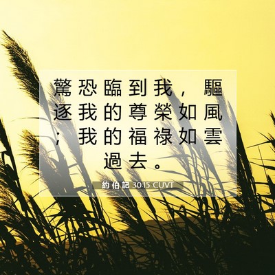 Picture 07 - 約 伯 記 30:15 CUVT - 驚 恐 臨 到 我 ， 驅 逐 我 的 尊 榮 - Bible Verse Picture