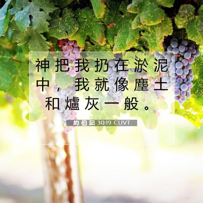 Picture 07 - 約 伯 記 30:19 CUVT - 神 把 我 扔 在 淤 泥 中 ， 我 就 像 - Bible Verse Picture