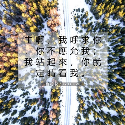 Picture 07 - 約 伯 記 30:20 CUVT - 主 啊 ， 我 呼 求 你 ， 你 不 應 允 - Bible Verse Picture