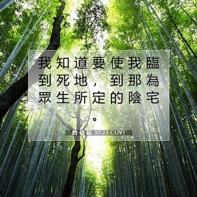 Picture 07 - 約 伯 記 30:23 CUVT - 我 知 道 要 使 我 臨 到 死 地 ， 到 - Bible Verse Picture