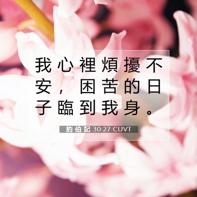 Picture 07 - 約 伯 記 30:27 CUVT - 我 心 裡 煩 擾 不 安 ， 困 苦 的 日 - Bible Verse Picture