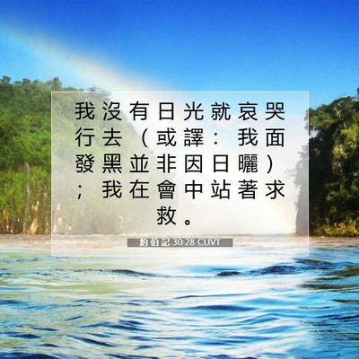 Picture 07 - 約 伯 記 30:28 CUVT - 我 沒 有 日 光 就 哀 哭 行 去 （ 或 - Bible Verse Picture