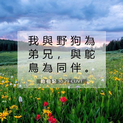 Picture 07 - 約 伯 記 30:29 CUVT - 我 與 野 狗 為 弟 兄 ， 與 鴕 鳥 為 - Bible Verse Picture
