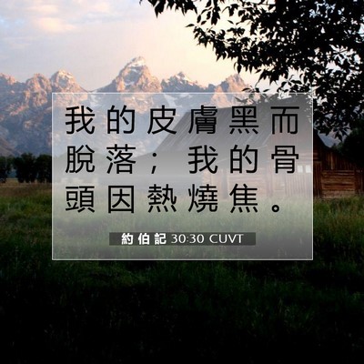 Picture 07 - 約 伯 記 30:30 CUVT - 我 的 皮 膚 黑 而 脫 落 ； 我 的 骨 - Bible Verse Picture